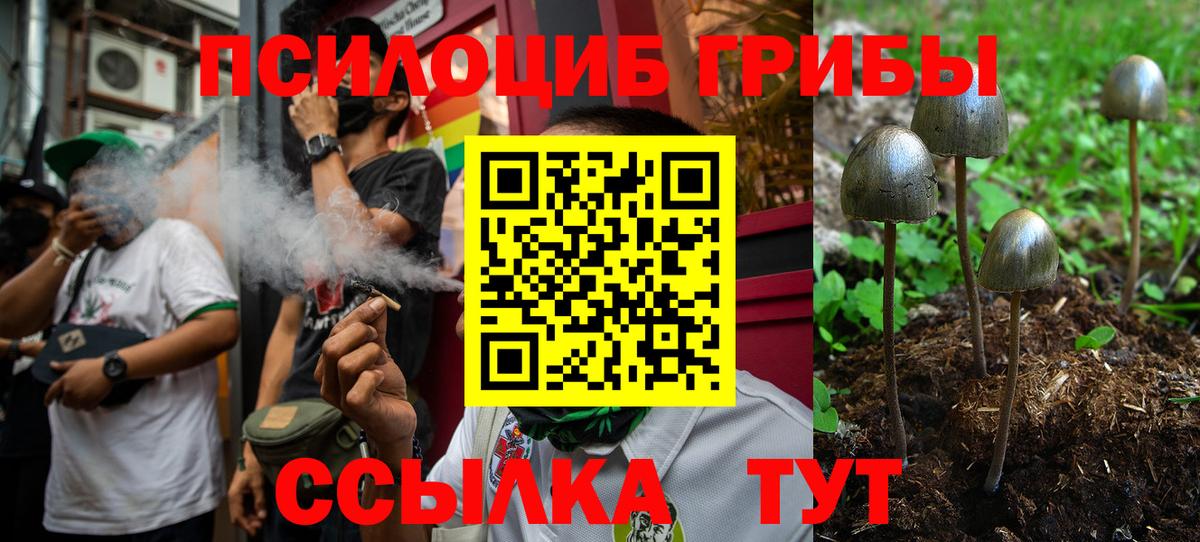 Ростов Великий  Псилоцибиновые грибы Magic Shrooms  Псилоцибиновые грибы Magic Shrooms  Вход с VPN 
