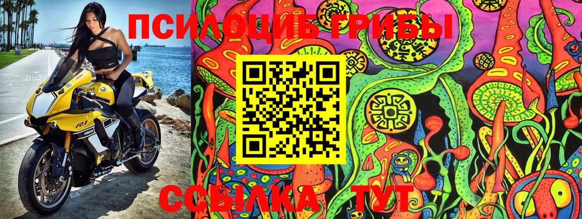 Псилоцибиновые грибы Psilocybe Ростов Великий
